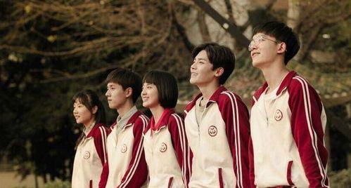 国产青春校园剧视频下载,重温青涩岁月，下载珍藏美好瞬间