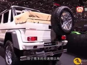 国产大型跑车视频,速度与激情的完美演绎