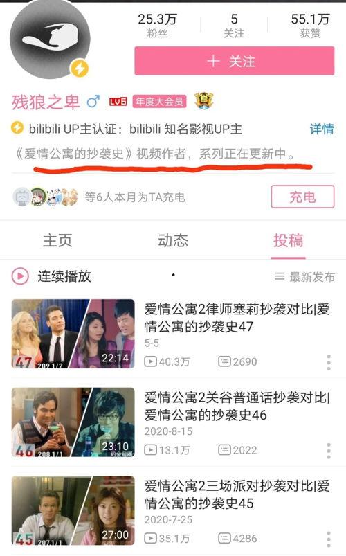 国产系列视频网站,打造本土文化盛宴的数字平台