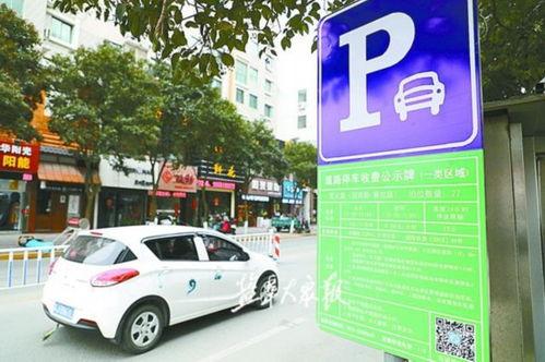 国产停车技术视频播放,创新与便捷的智慧停车体验