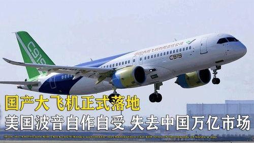 国产大型飞机落地视频,翱翔蓝天，铸就民族航空新篇章