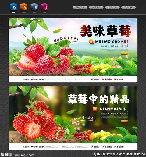 草莓视频国产动画片头像,国产动画片头像里的奇幻世界