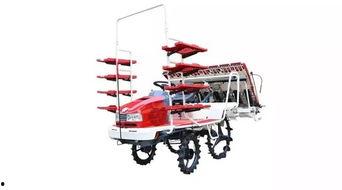 国产插秧机大全视频,创新驱动农业现代化